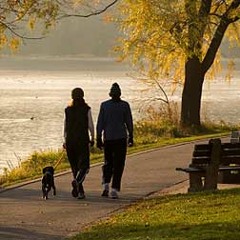 Walk With Me