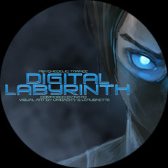 Digital Labyrinth