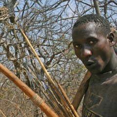 Hadza Whistling With Honeyguide Chatter