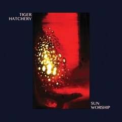 Tiger Hatchery - "Chieftain"
