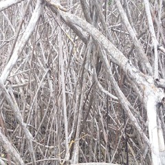 Techno Dark Set 2013 10 29