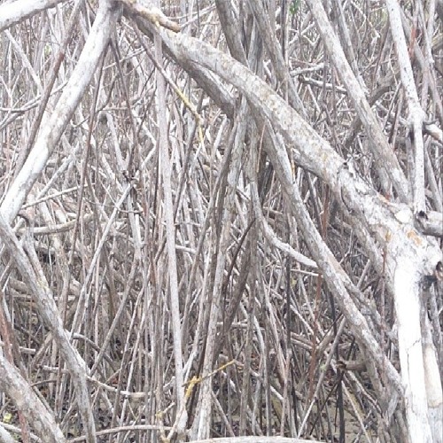 Techno Dark Set 2013 10 29