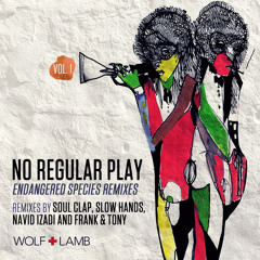 No Regular Play - Won't Quit (Slow Hands Remix) (Preview)