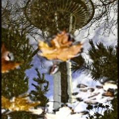 Reflection