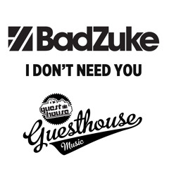 I Don't Need You