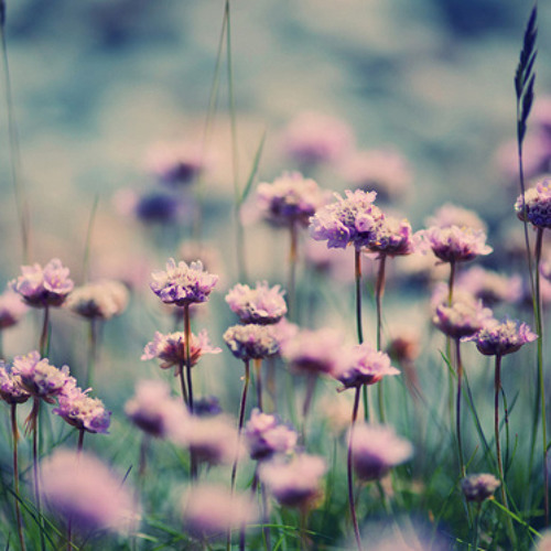 If I Ain't Got You (Chorus)