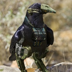 Duncan Fisher recites "The Raven (3L): A Mechwarrior POEtic parody