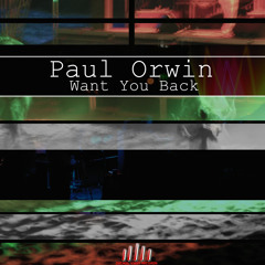 Paul Orwin - Feel It