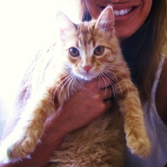 Country House - Blur (Cover)