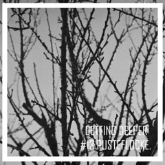 Getting Deeper Podcast #13 mixed by Pusteflocke