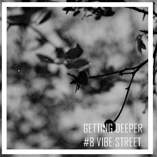 Getting Deeper Podcast #8 mixed by Vibe Street
