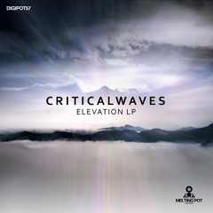 Critical Waves - Riches [DIGIPOT57]
