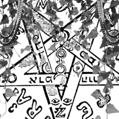 b l u n t  c r a f t