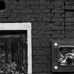 Секта Феникса - Множественности [live]