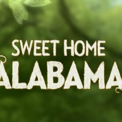 Sweet Home Alabama (Werdplay Instrumental)
