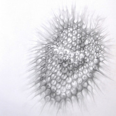 Eclipse Sessions {free download}