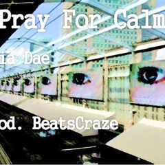 I Pray For Calm ( Prod By BeatsCraze)
