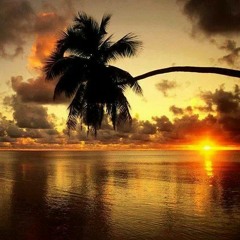 bo-napoleon-Aloha-Jamaica