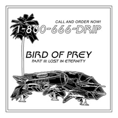 Bird Of Prey, Part III: Lost In Eternity