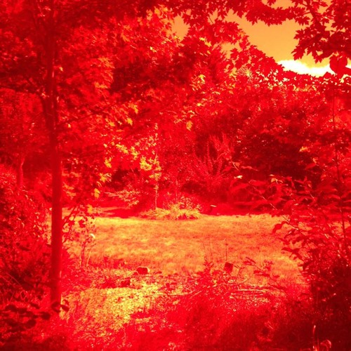 The Fall
