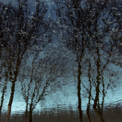 ADAS feat. Jurga - Oi ant kalno