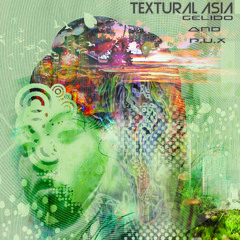 Textural Asia - Gelido & P.U.X