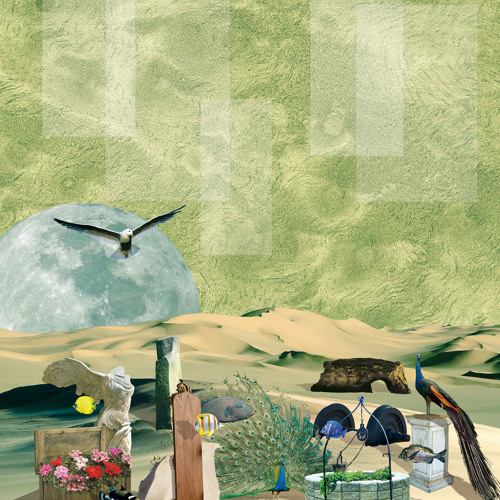 appearance of fluctuation - Album Digest