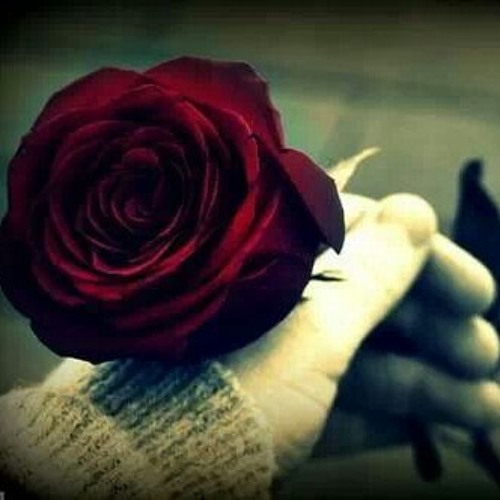 اول. دقة. قلب. رامي عياش