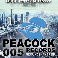 Brutal Jesters - Last chance to lose control (Original Mix)