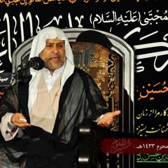 يابو فاضل يا ابو النفس الحنونة | الملا سعيد المعاتيق