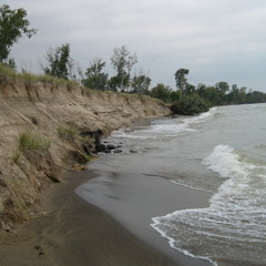 Ocean Sounds on the Lake