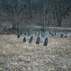 A Perfekta Tåg - Lou Reed COVER