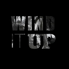 Luca Skatek_Wind It Up (REMIX)