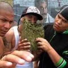 CALLAO CARTEL - LEGALIZANDO EL AREA