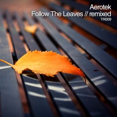 TR009 Aerotek - Follow The Leaves (Autumn Trip-Hop Mix)