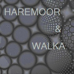 Walka & Haremoor - Take [FREE D/L]