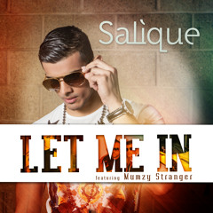 Salique feat Mumzy Stranger - Let Me In - Radio Edit MP3
