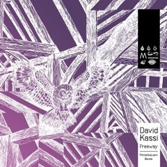 David Kassi - Freeway (Finnebassen Remix)