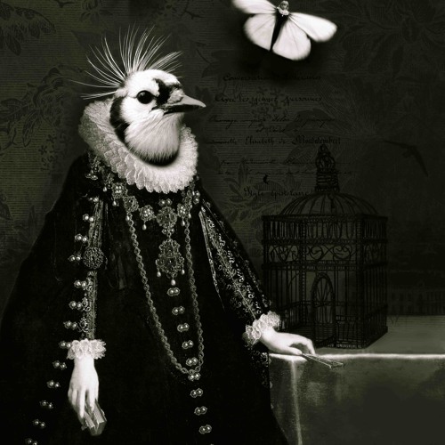 Haydn, Sonata In E Minor Hob XVI:34  III.Allegro Vivace