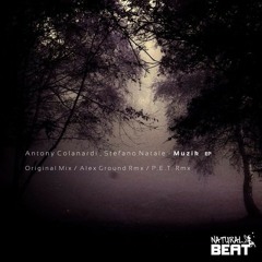Antony Colanardi & Stefano Natale - M§ùzik (Original Mix) [Natural Beat Recordings]