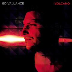 Seabird / Ed Vallance
