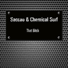 Saccao & Chemical Surf - Slap that bitch (Vijay & Sofia Zlatko Remix)SNIPPET