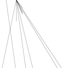 Analogic Perspective