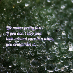 Fast Life
