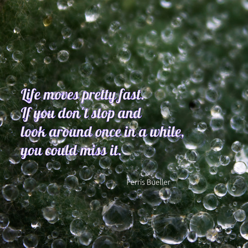 Fast Life