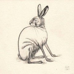 Jack Rabbit (Apollo Brown)