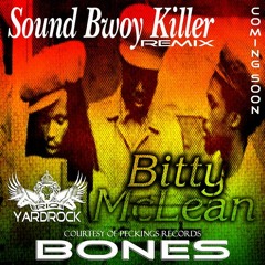 Sound boy killer - Bitty Mclean - Paul BONES Jungle Refix - R.IQ YARDROCK