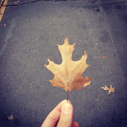 A Gente Voltou - Clarice Falcão (Cover por Clarisse Magalhães)