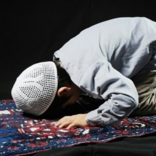 ناصر القطامي - سورة ق