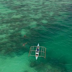 Swimming with Sharks